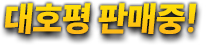 대호평 발매중